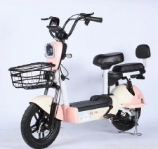 Electric Bicycle 350W 48V Lead-acid Battery Ebike Adult 2 Seat Electric City Bike Two wheels Electric Scooter